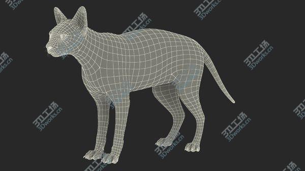 images/goods_img/20210312/Sphynx Cat Solid Color Black Rigged 3D/4.jpg
